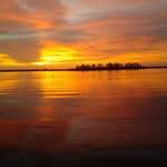 Mark Bender - @markbender9 - Instagram