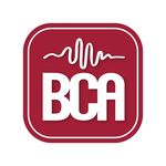 Mark Bennett - @bennettcustomaudio - Instagram