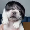 marc - @marcbensan - TikTok