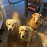 Mark Bergen - @markbergs - Instagram