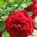 Mark Berger - Facebook