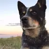 Mark Berger - @markberger3 - TikTok