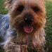 Mark Berggren - Facebook