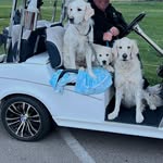 Mark Berlinger - @mark.berlinger - Instagram