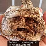 Mark Berlinger - @cozyfwoglin - Instagram