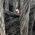 Mark Berner - Facebook