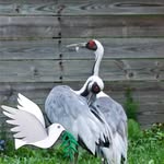 Mark Berrier - @mark.berrier67 - Instagram
