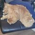 Mark Bertram - Facebook