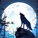 Mark Bertrand - Facebook