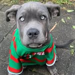 Mark Bessant - @bessant.mark - Instagram