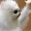 Марк Бессер - @markbesser - TikTok
