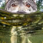 Mark - @mark.s.besser - Instagram