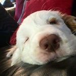 Mark Beveridge - @mark.beveridge.165 - Instagram