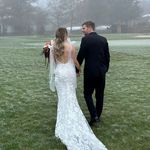 Mark Bevington - @markbevington - Instagram