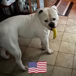 Mark Bickel - @bickel.mark - Instagram