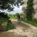 Mark Bicknell - @markbicks - Instagram