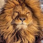 Mark Bickley - @mbickley26 - Instagram