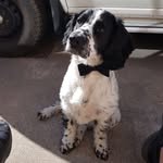 Mark Bickley - @mark.bickley.5 - Instagram