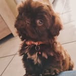 Mark Biermann - @heelveelbierman - Instagram