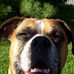 Mark Bilger - Facebook