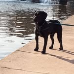 Mark Billings - @mark.billings.142 - Instagram