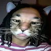 markbinglebottom - @markbinglebottom - TikTok