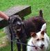 Mark Birdsall - Facebook