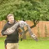 Mark Birdsall - @baytreeowls - TikTok