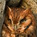 Mark Birkholz - Facebook