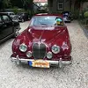 Mark - @markbirkholz - TikTok