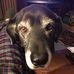 Mark Biro - Facebook