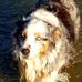 Mark Birrer - Facebook