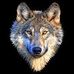 Markus Biedermann - Facebook