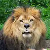Mark Bittinger378 - @markbittinger378 - TikTok