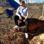 Mark Bittner - @mark.bittner.5 - Instagram