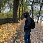 Mark Bittner - @markbittner_ - Instagram