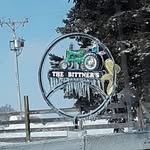 Mark Bittner - @bittnermark52 - Instagram