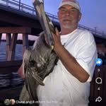 Mark Bittner - @mark.bittner.169 - Instagram