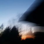 Markus - @markus_.bjorklund - Instagram