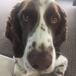 Mark Blakemore - @mark.blakemore - Instagram
