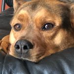 Mark Blakely - @mark_jack_b - Instagram