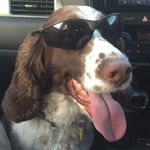 Mark Blakemore - @mark.blakemore.96 - Instagram