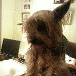 mark blakemore - @blakeyblue40 - Instagram