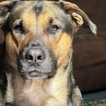 Mark Blanton - @markblanton69 - Instagram
