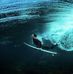 Mark Bloomquist - Facebook
