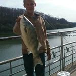 mark blumer - @markblumer930 - Instagram