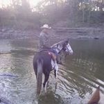 Mark Blumer - @markblumer - Instagram