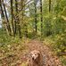 Mark Blumer - Facebook