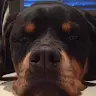 Mark Bock - @user788537804 - TikTok