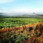 Mark Bodinet - @markbodinet - Instagram